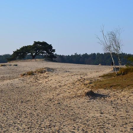 Vila Huisje Weideblik Doornspijk Exteriér fotografie