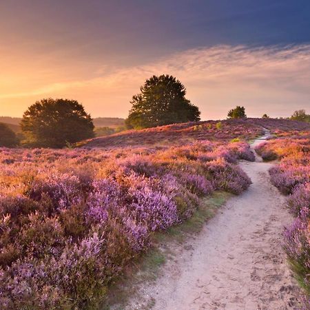 Huisje Weideblik Doornspijk Exteriér fotografie