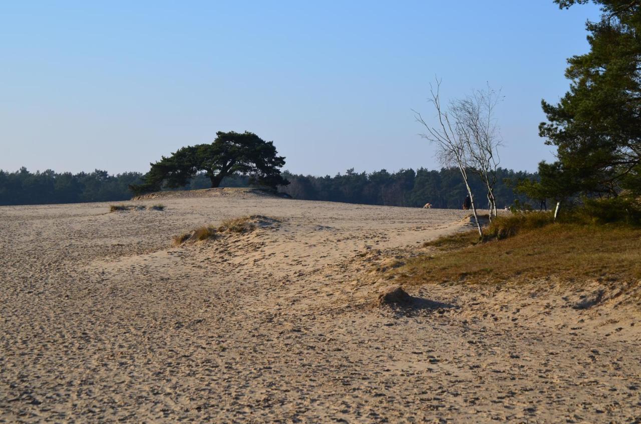 Vila Huisje Weideblik Doornspijk Exteriér fotografie