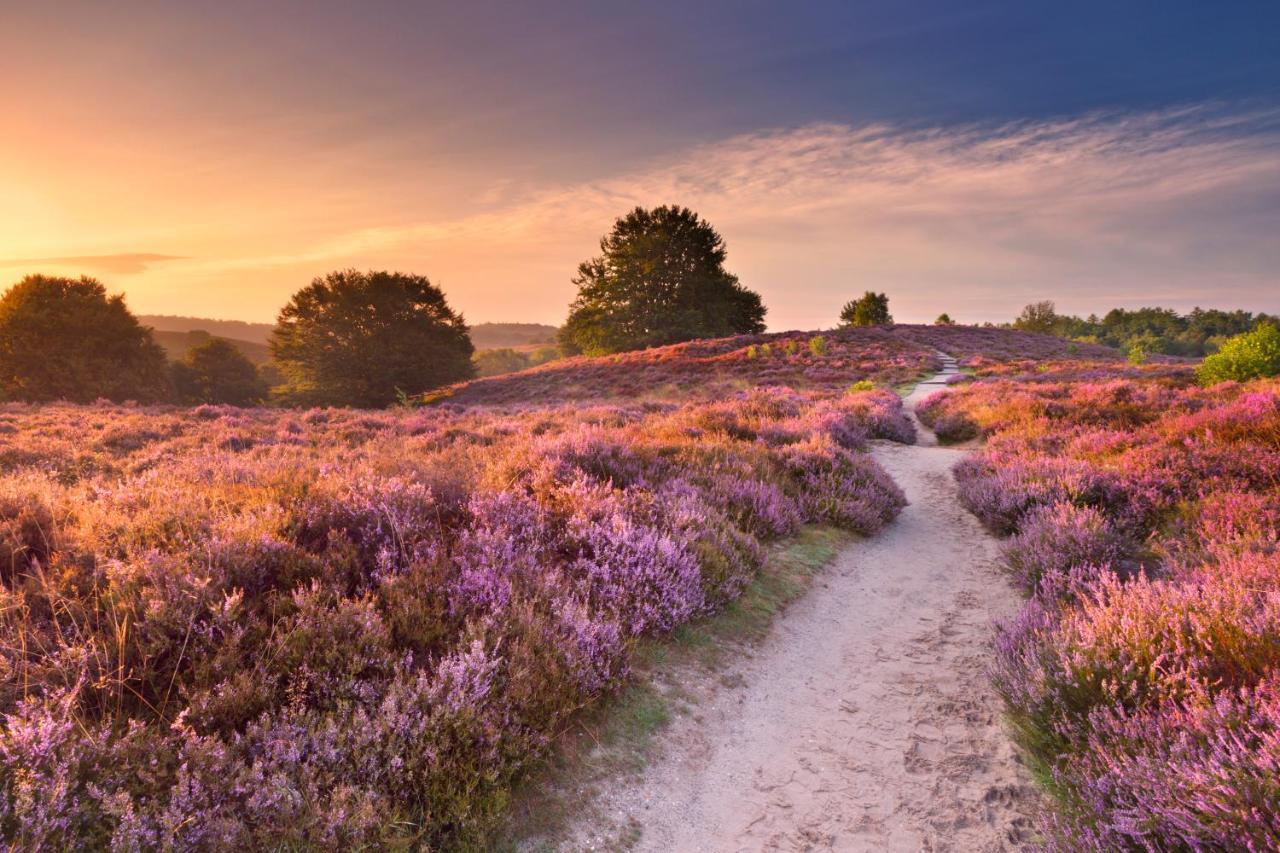 Huisje Weideblik Doornspijk Exteriér fotografie